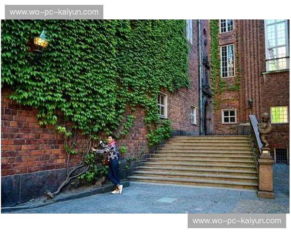 北欧之巅的宿命对决：丹麦vs瑞典，一场关乎荣耀与战术的深度博弈